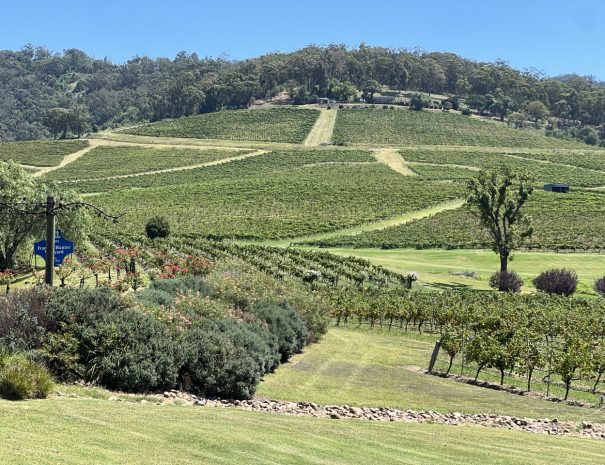 Hunter-valley-Ivanhoe1 Large